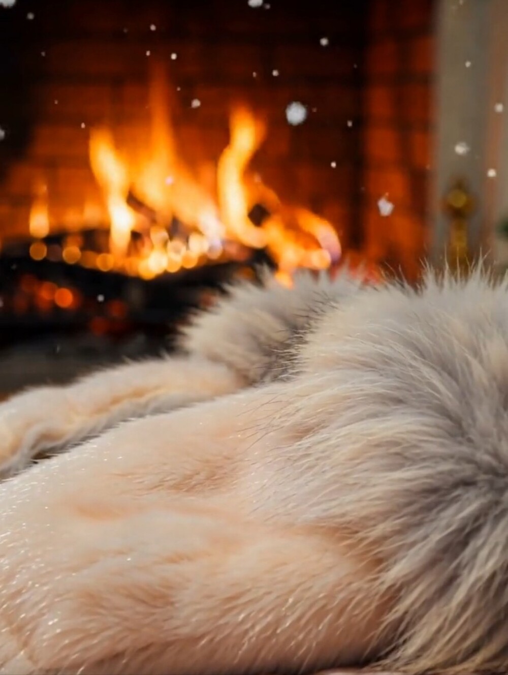 Vintage Fur Mittens